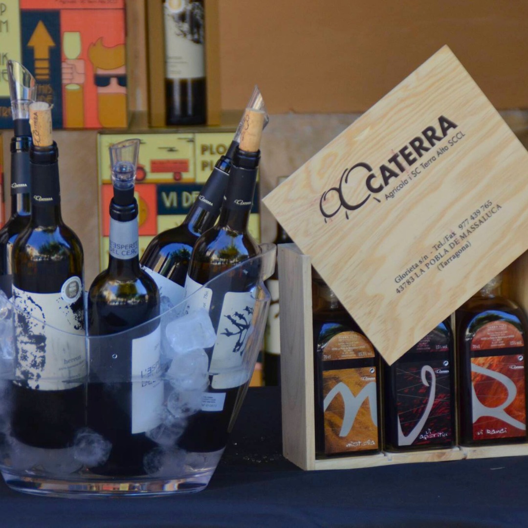 Caterra vinos terra alta enoturismo
