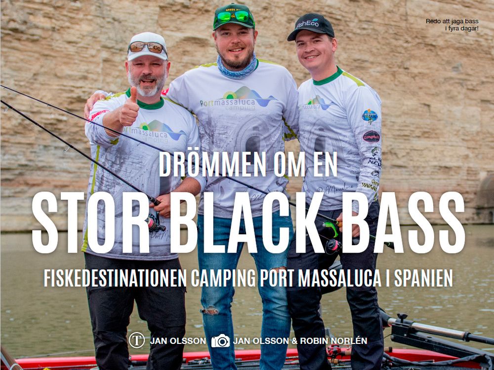 Fisheco-portada-3