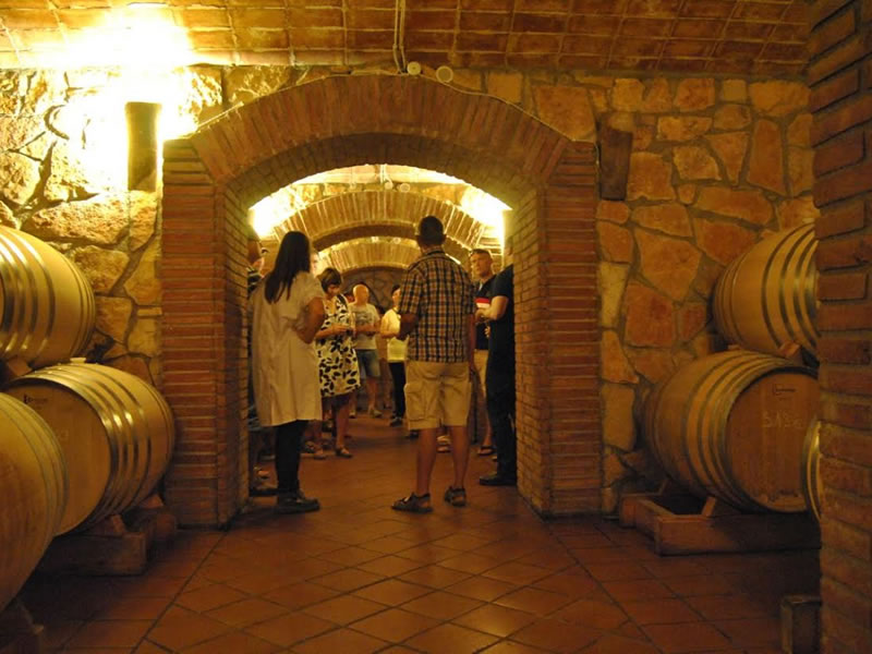 bodega piñol vinos terra alta enoturismo