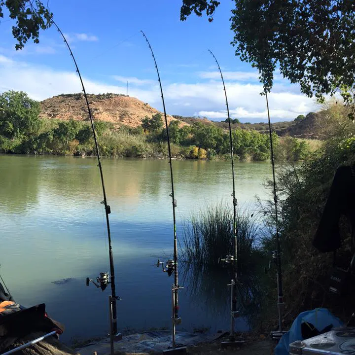 Puestos de pesca orilla ebro cerca de port massaluca