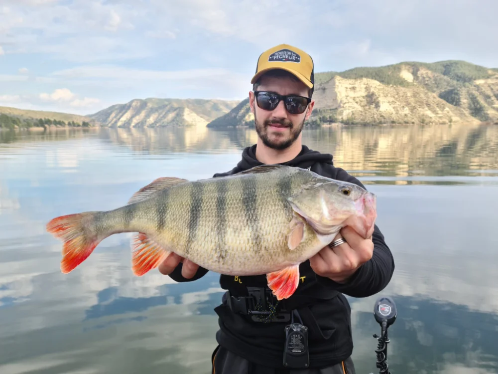 Que peces pescar rio Ebro mequinenza Que peces pescar rio Ebro mequinenza