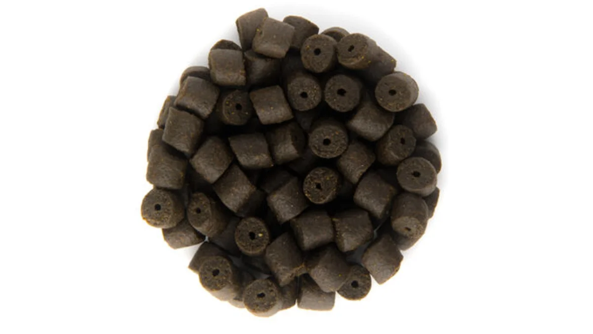 Pellets para pesca de carpa y siluro disponibles en Port Massaluca